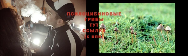 прущий лед Няндома