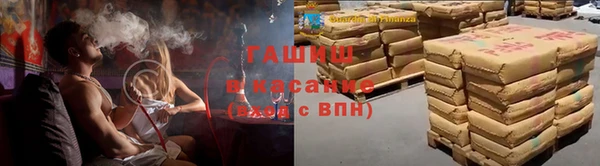 крисы Новокубанск