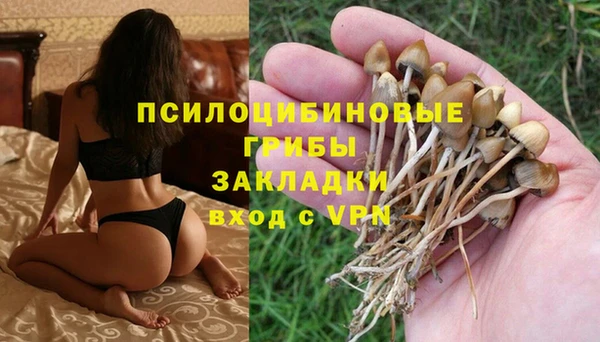 прущий лед Няндома