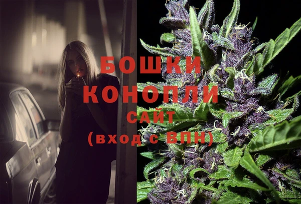 молекула духа Нязепетровск