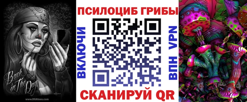 Галлюциногенные грибы Psilocybe  Любань 